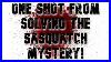 One Shot Away From Solving The Sasquatch Mystery